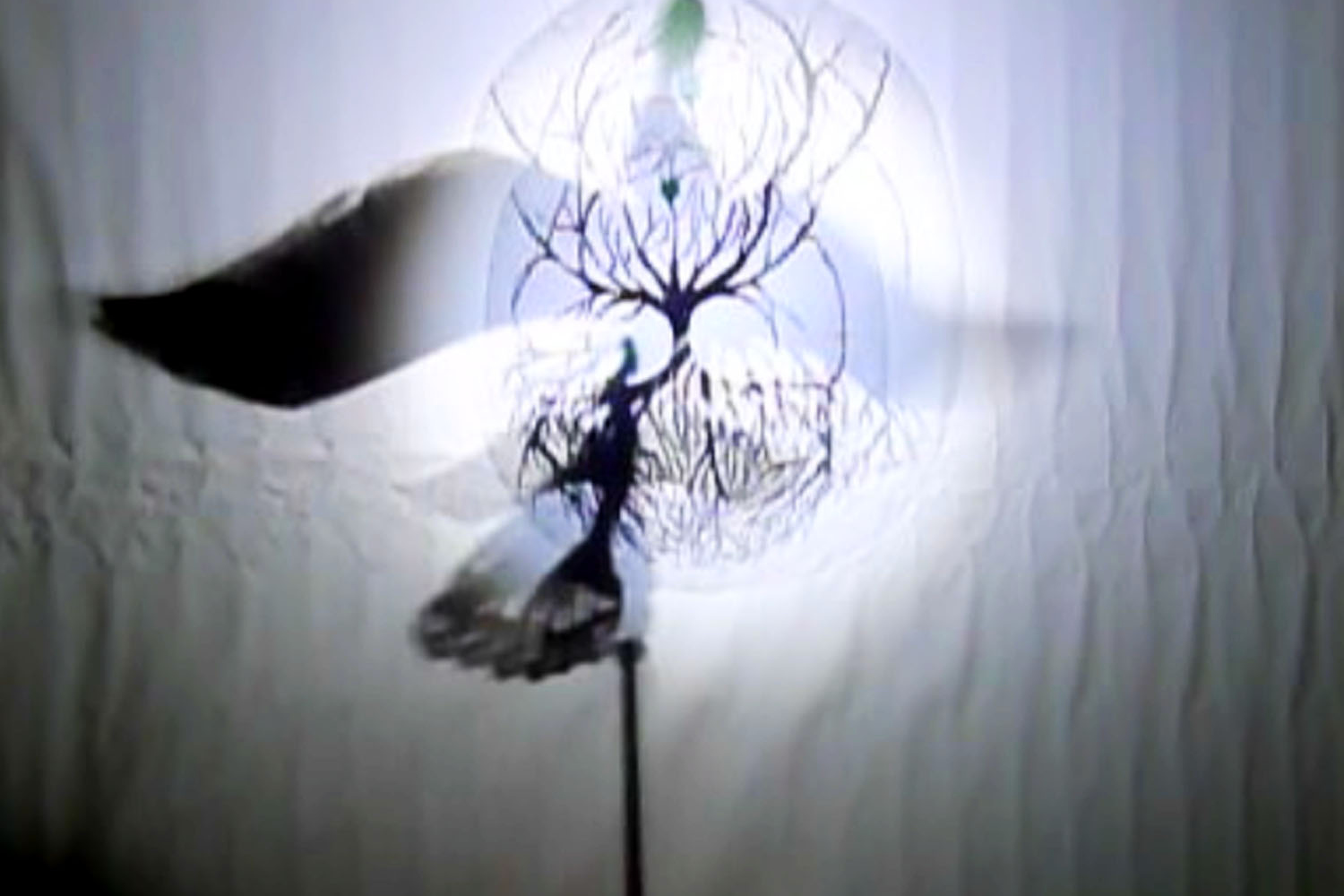 Auf weißer knitteriger Leinwand ist schemenhaft das Schattenspiel eines Vogels und kleinen blattlosen Baumes abgebildet.