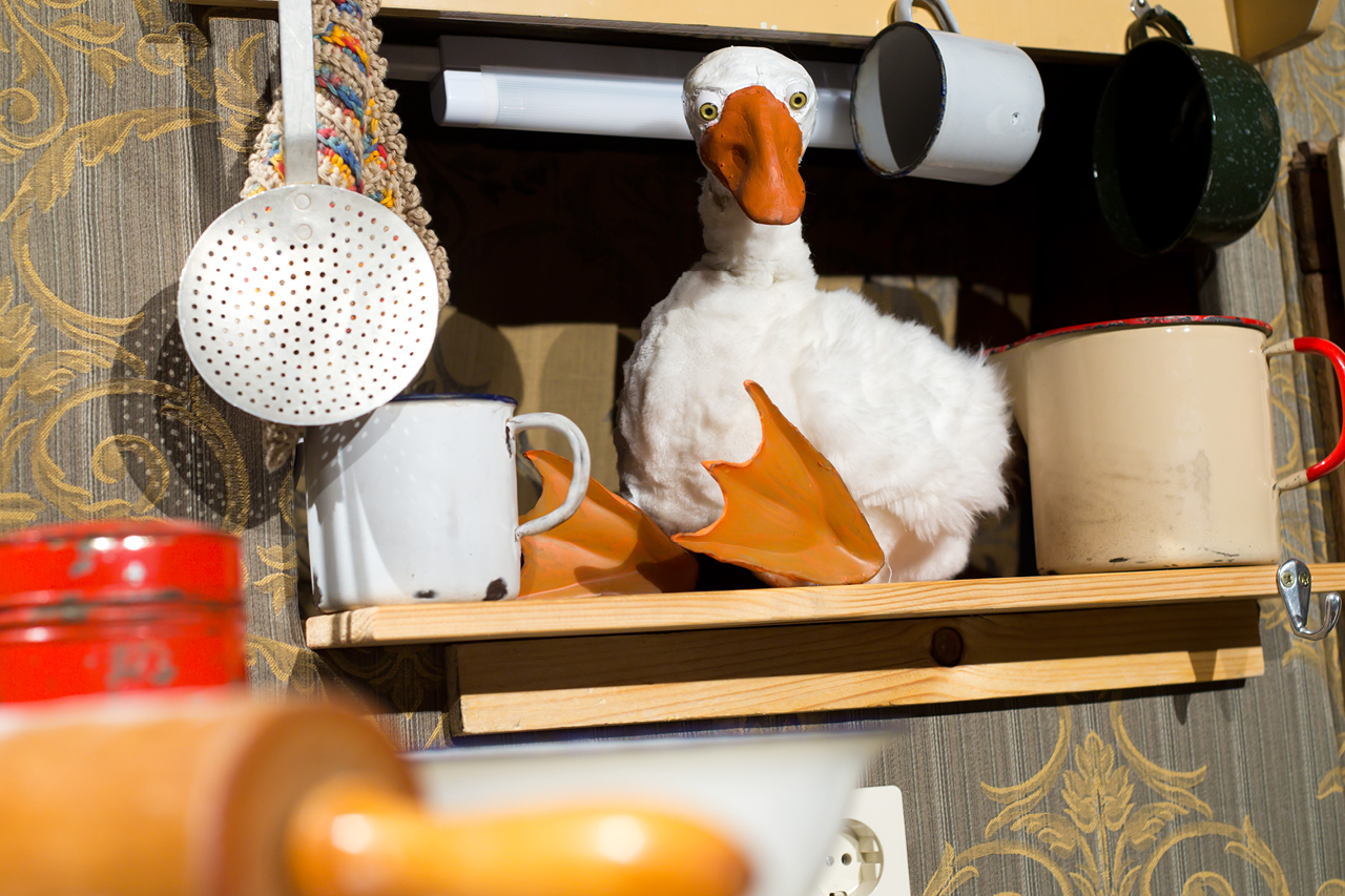 Die Gans Auguste sitzt in einem Küchenregal. Neben und über ihr befinden sich Töpfe und, Tassen und ein Schaumlöffel.