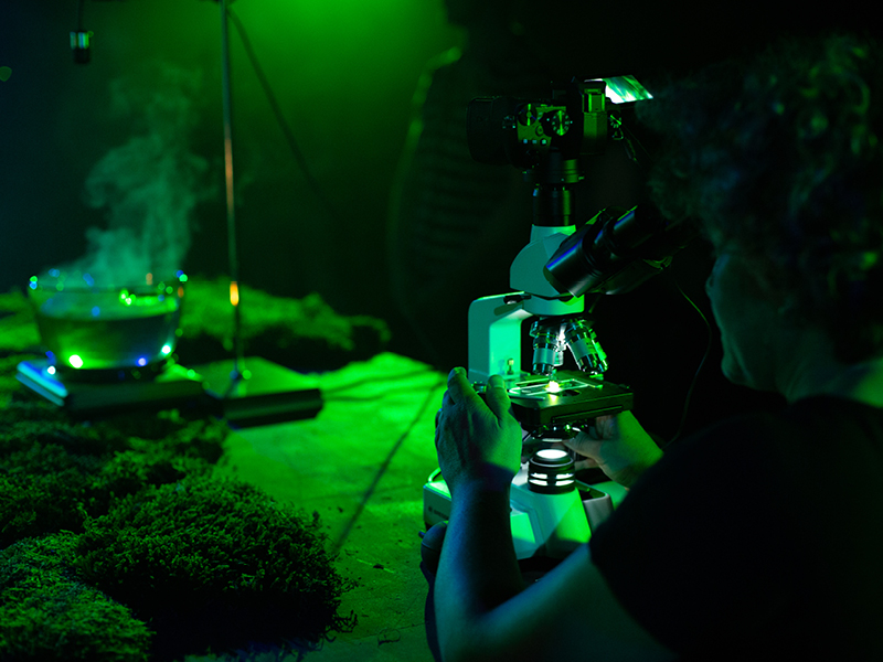 Ein mit Moos, einer rauchenden Schale und anderen Dingen bedeckter Tisch, an deren vorderen Ende eine Person durch ein Mikroskop schaut.