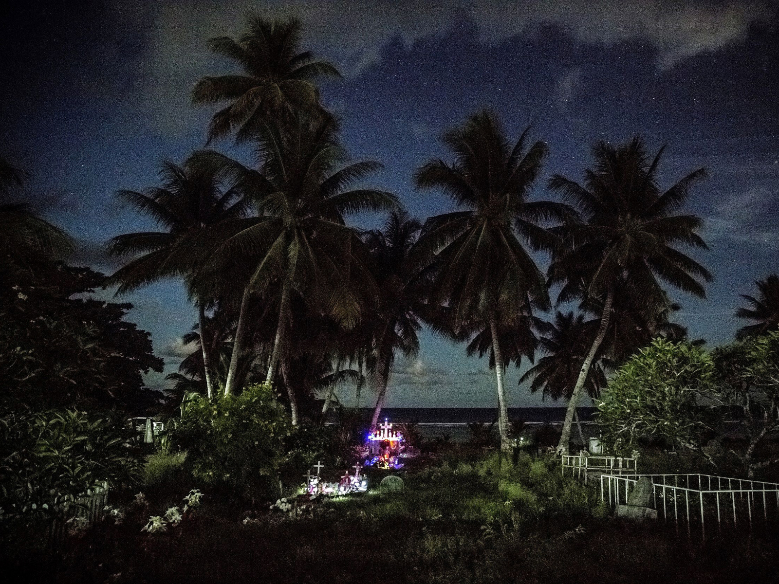 Video-Darstellung einer Palmenkulisse.