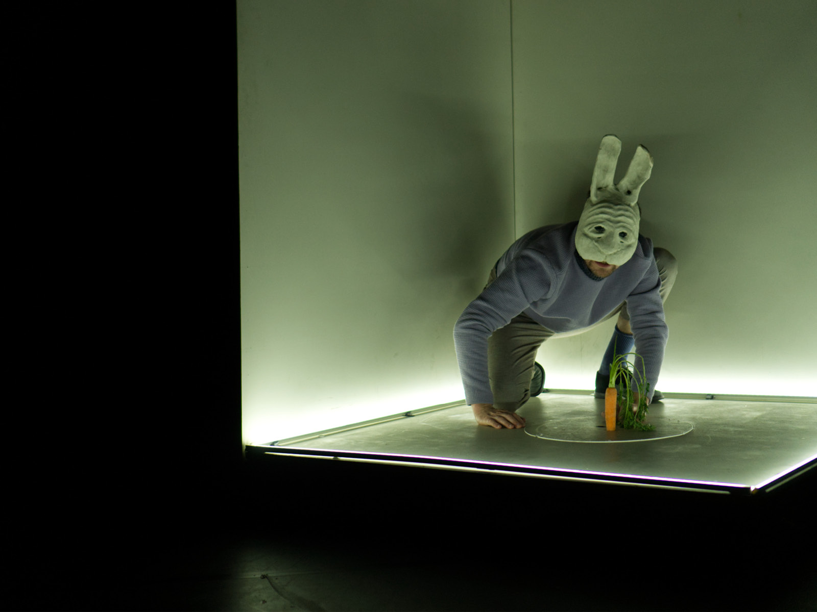 Spieler mit Möhre in Hasenkostüm in einem beleuchteten Kasten.