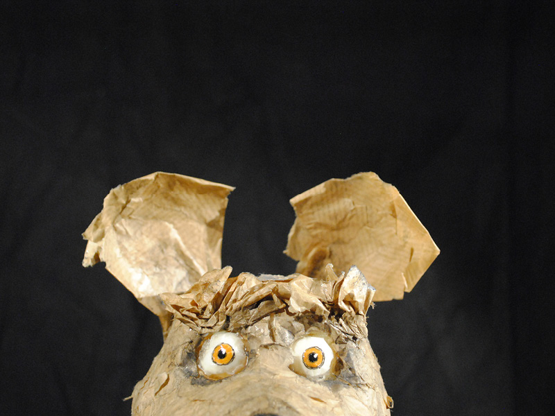 Der obere Kopfteil der Maus Frederick schaut mich großen, gelben Augen in die Kamera. Er ist aus knittrigem Papier.