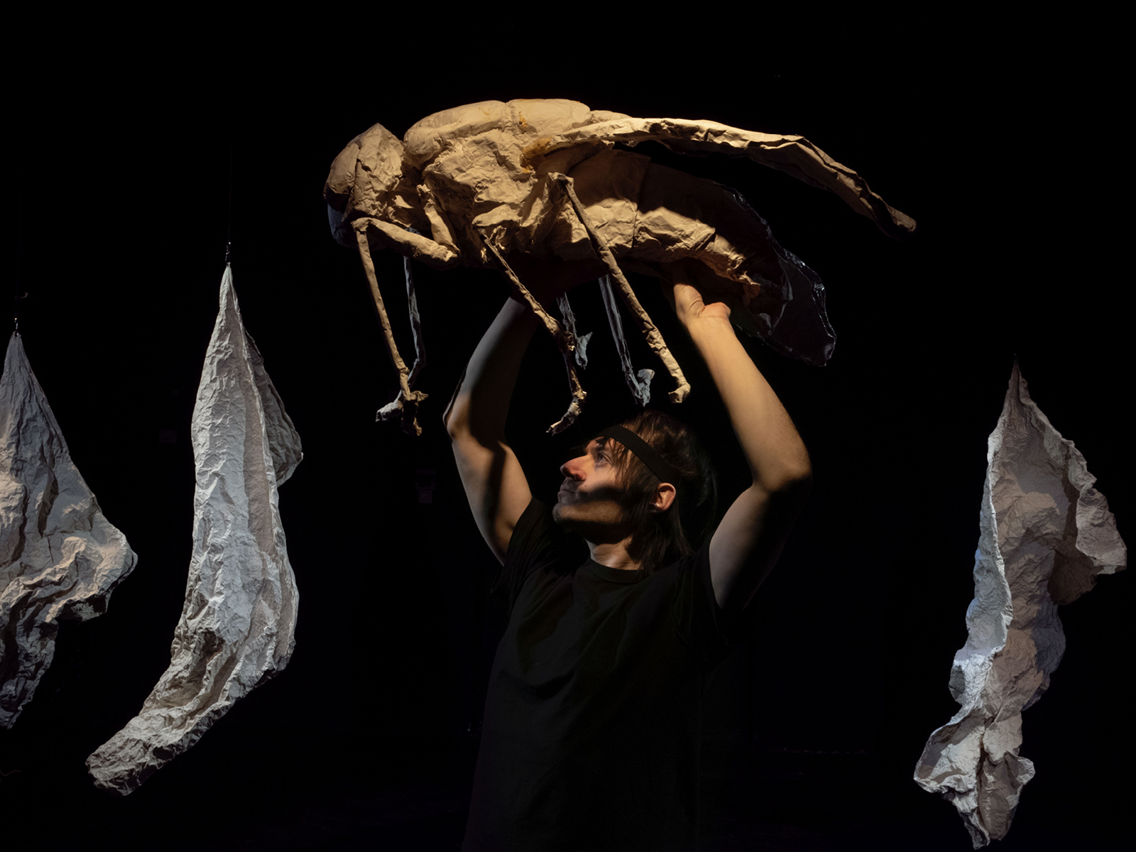 Performer hält überlebensgroßes Fliegenmodell aus einem papierähnlichen Material über seinen Kopf. Im Hintergrund sind drei weiße, von der Decke hängende Formen von ca. 1,5m Länge auf der Bühne erkennbar, die wie zusammengeknülltes und wieder auseinandergefaltete Papierbahnen wirken
